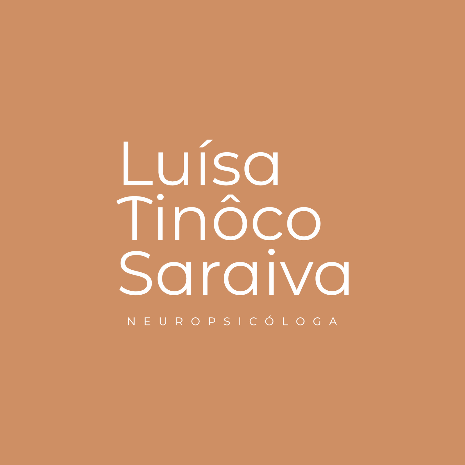 luisatinoco.com.br